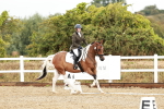 SBM_001354