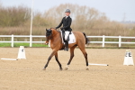 SBM_002337