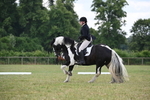 WJ6_6642
