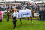 190523-Race 3-Marhaba The Champ-0209