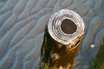 West Wittering - 56
