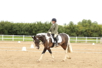 SBM_008661