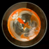 Assignment 3 - The Goldfish