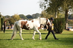 SBM_58784