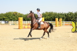 SBM_000539