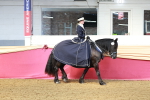 SBM_13684