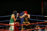 box 041008-11