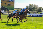 300926-Race 2-Gold Key-5990