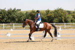 SBM_003430