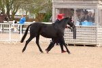 SBM_10223