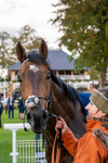 111024-Race 3-Minstrel Knight-7139