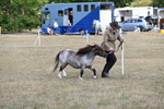 WJ6_6848