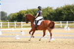 SBM_008151