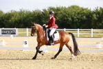 SBM_008195