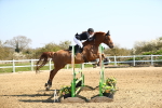 SBM_000598