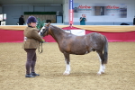 SBM_00475