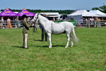 SBM_07821