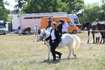 WJ6_7876