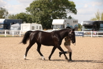 SBM_04555