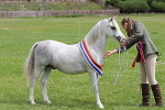 SIAL7942