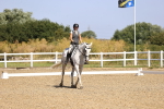 SBM_009288