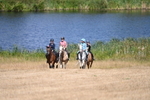 WJ6_8812