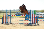 SBM_001613