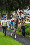 270724-Race 4-Greydreambeliever-9615