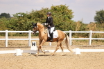 SBM_008791