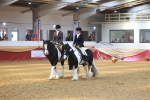 SBM_14951