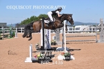 BPP_1436