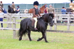 SBM_08494