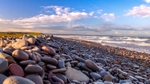 Porlock Marsh