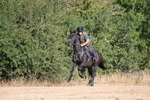 WJ6_6760
