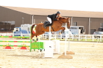 SBM_010449
