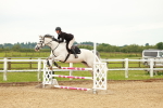 SBM_001913