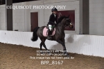BPP_8167