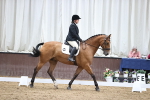 SBM_01555