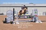 BPP_1177