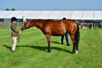 SBM_01038