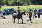 WJ6_7956