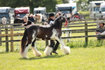 SBM_08734