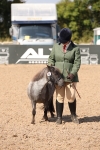 Class 17 Prettiest Mare IH or Ridden portfolio