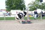 SBM_16821