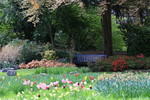 MAY 2015-19