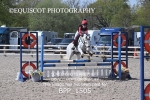 BPP_1505