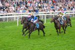 080925-Race 5-Elmonjed-7697