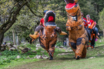 Dovedale-2264