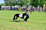 SBM_03578