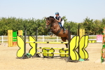 SBM_001774